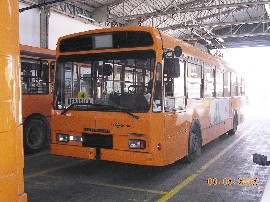 Clicca per Ingrandire