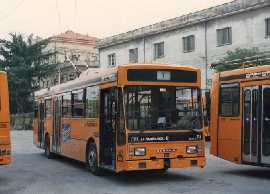 Clicca per Ingrandire