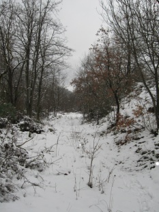 Click per ingrandire